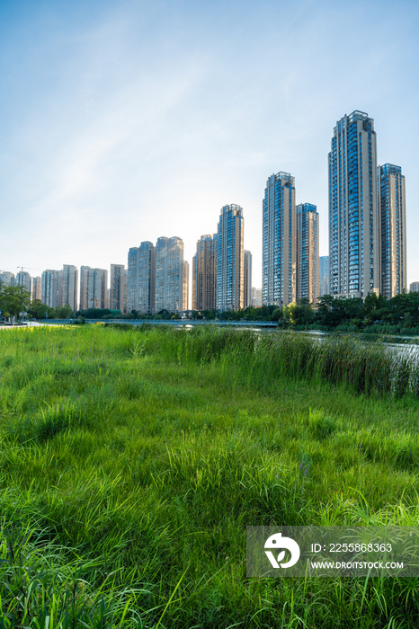 长沙城市风光