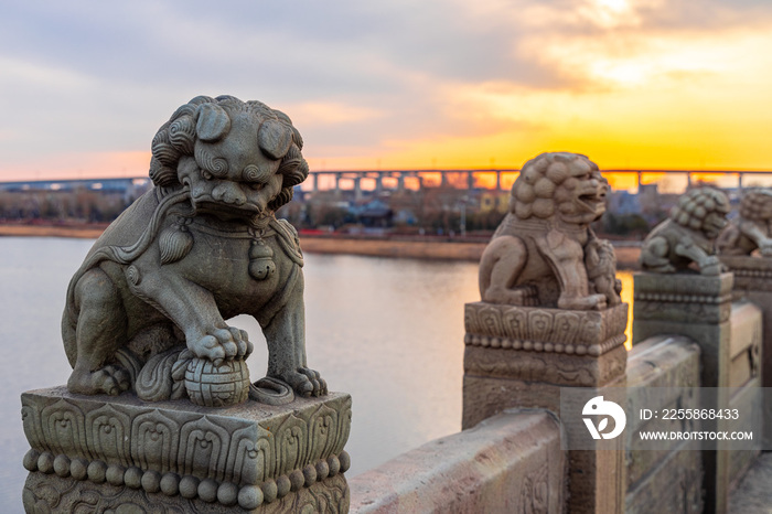 夕阳下的北京卢沟桥石狮子