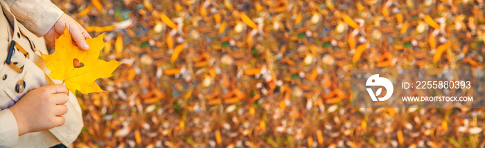 Children in the park with autumn leaves. Selective focus.