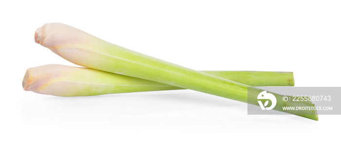 Lemon grass on white background