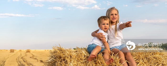 Two cute adorable caucasian siblings enjoy having fun sitting on top over golden hay bale on wheat harvested field near farm. Happy childhood and freedom concept. Rural countryside scenic landscape