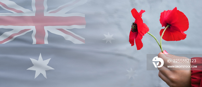 Australia National Day. Child hand holding red poppy flowers. Remembrance Day. Veterans Day. ANZAC Day. Lest we forget concept.