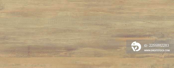 Wood texture. Wood texture for design and decoration