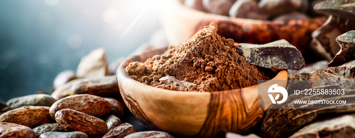 Cocoa and chocolate wide banner. Raw cocoa beans, bowl with powder