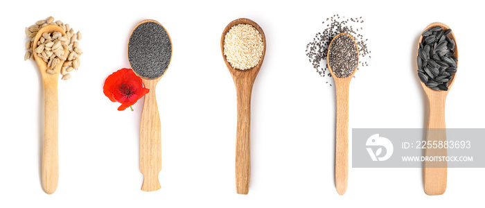 Collage of wooden spoons with different grains on white background