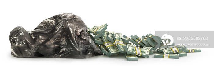 Cash out of a garbage bag isolated on white background