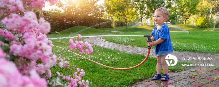 Cute adorable caucasian blond toddler boy enjoy having fun watering garden flower and lawn with hosepipe sprinkler at home backyard at sunny day. Child little helper learn gardening at summer outdoor