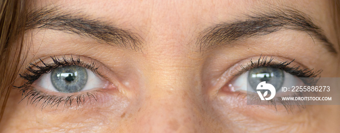 Close up on the grey blue eyes of a middle-aged woman