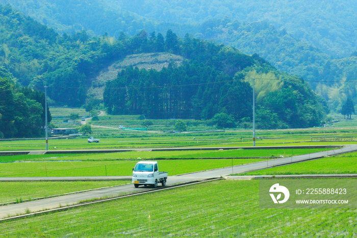 田園風景