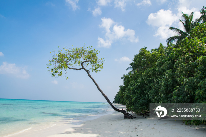 Radhanagar Beach at Havelock Island