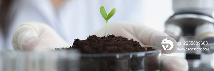 Scientist holding petri dish with earth and green plant sprout in his hands in laboratory closeup