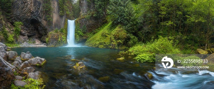 Toketee Falls is a waterfall in Douglas County, Oregon, United States, on the North Umpqua River at its confluence with the Clearwater Rive.r Beautiful falls in forest, West coast USA