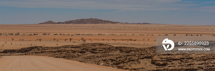 Landscape with road at Namib-Naukluft National Park , a national park of Namibia, panorama