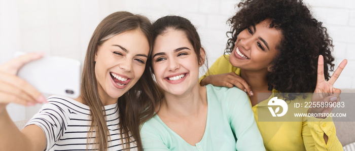 Happy female friends taking selfie, enjoing their time together