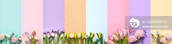 Collage with many beautiful spring flowers on colorful background