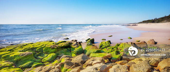 Panorama from Point Arkwright, Sunshine Coast, Queensland,  Looking South along the beach towards Maroochydore. Green moss covered rocks in the foreground and a hazy horizon in background with a clear