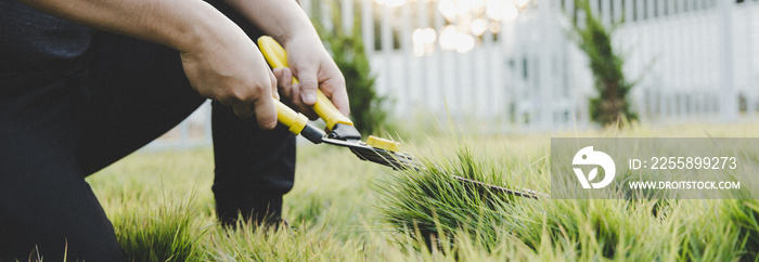 Young Asian man shears the lawn in the evening when the sun sets in a beautiful orange glow, Lawn decoration or garden pruning.