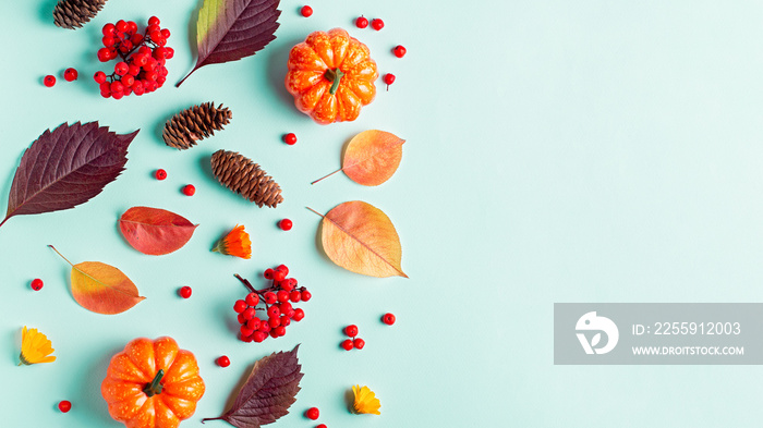 Autumn composition with leaves, pumpkins, rowan berries on mint background, flat lay. Fall, thanksgi