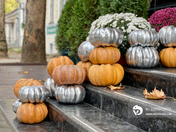 Orange and silver pumpkins with chrysanthemum bushes on the steps. Thanksgiving decoration