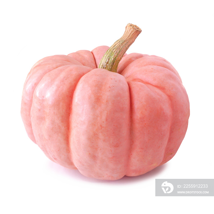 Pink autumn pumpkin isolated on a white background. Porcelain doll variety.