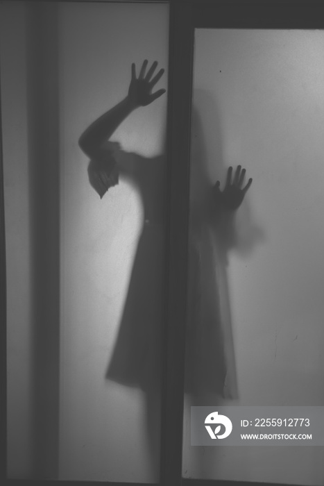 The silhouette of a human in front of a door at night.Scary scene Halloween concept of blurred silho