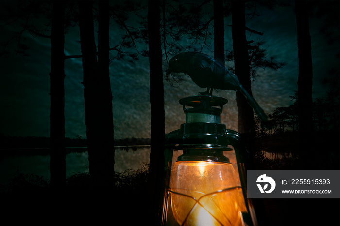 Crow sitting on old lantern with pine tree and river background holiday decorate on halloween