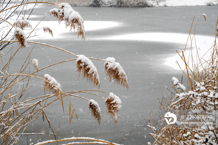 雪中的冰冻的湖面