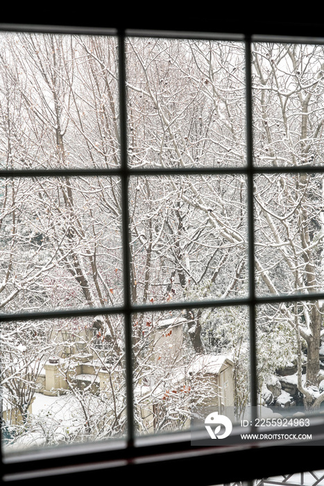 窗户外的雪景