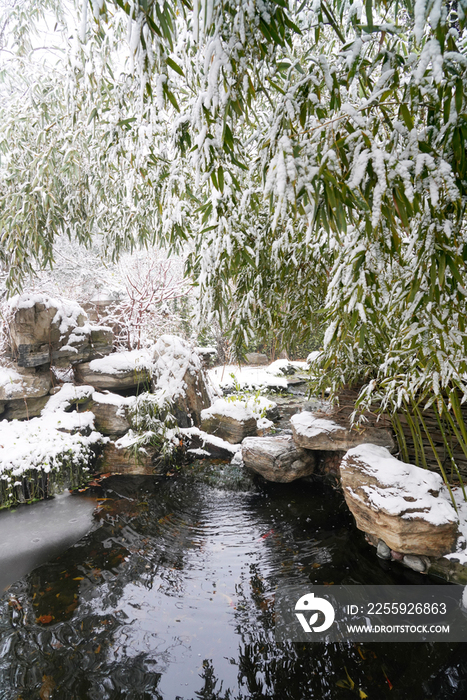 下雪后的私家花园