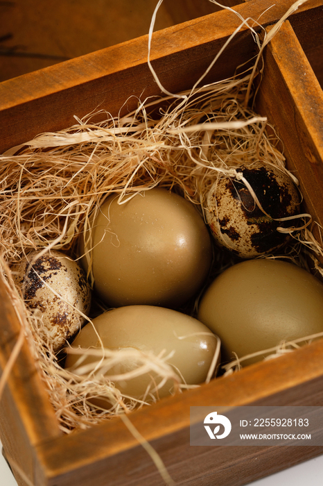 木格容器里的鸡蛋和鹌鹑蛋