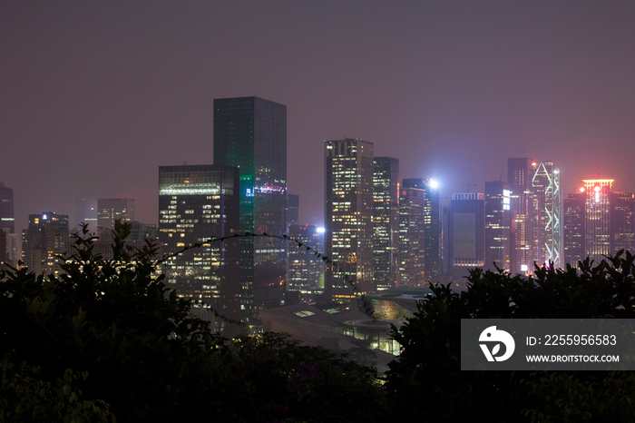 广东省深圳莲花山夜景