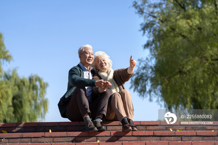 户外幸福的老年夫妇坐在台阶上看风景