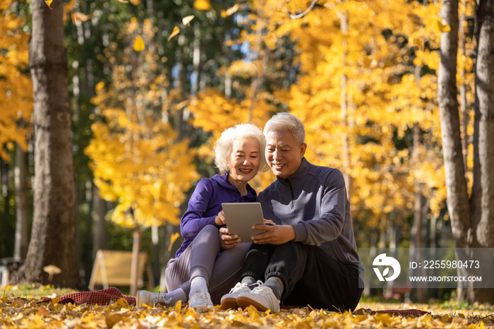 户外老年夫妇坐在落叶上