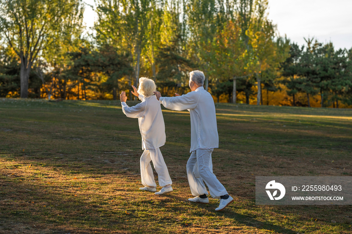 老年夫妇正在练太极拳