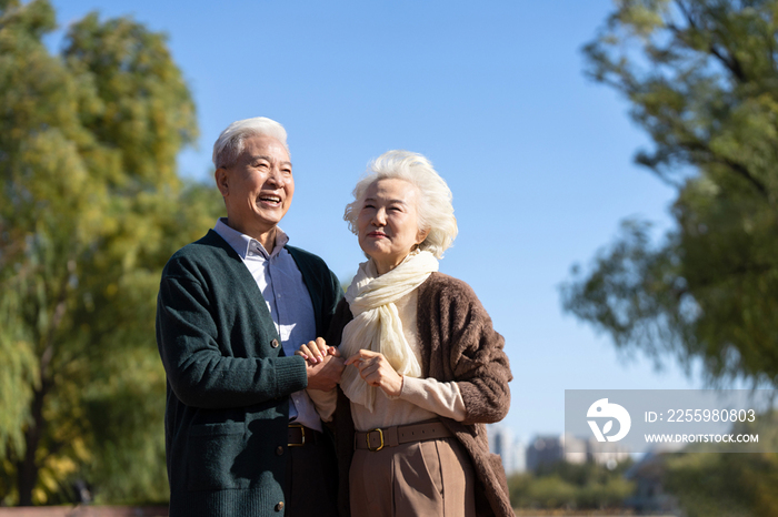 户外幸福的老年夫妇