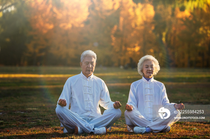 坐在草地上打坐的老年夫妇