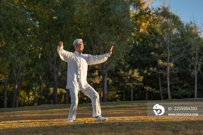 户外老年人正在练太极拳