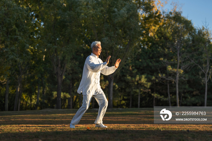 户外老年人正在练太极拳