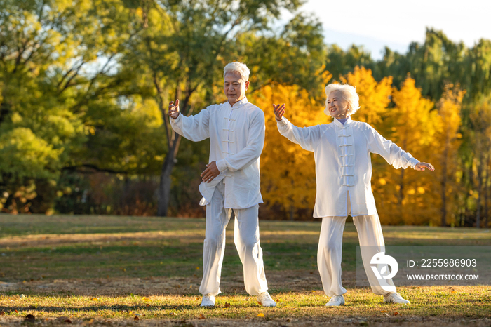 老年夫妇正在练太极拳