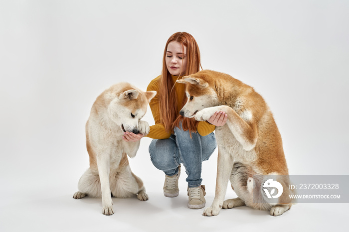 Young woman sit and hold paws of Shiba Inu dogs