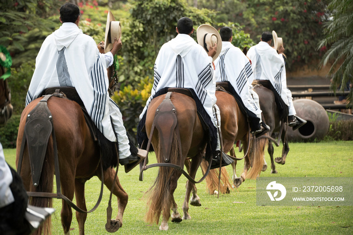 Demonstration of the Peruvian Paso horse mounted by his chalan