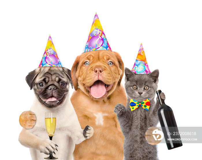 一群戴着生日帽的宠物，带着一瓶葡萄酒和一杯香槟。隔离在白色背景上。