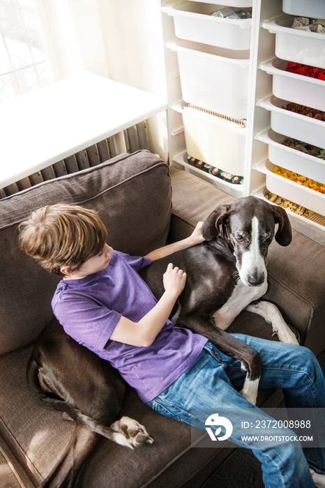 Boy (10-11) stroking dog on sofa