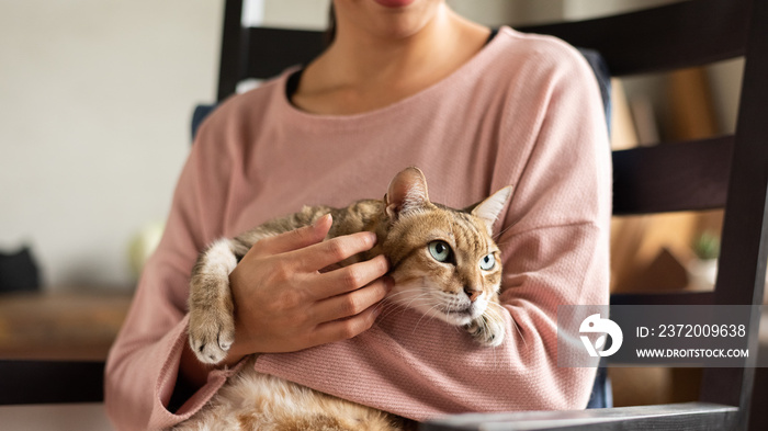 woman hold a fat tabby cat