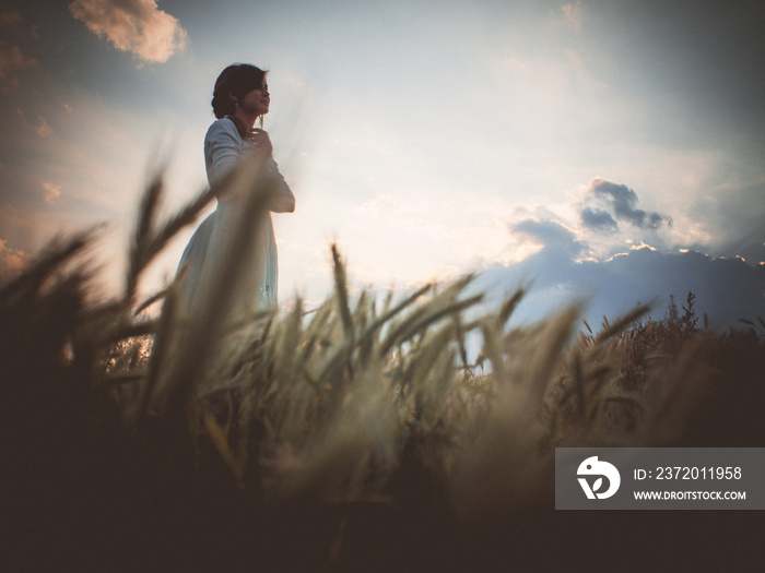 silhouette profile of a beautiful girl in a dress in the field enjoying the sky during sunset, a you