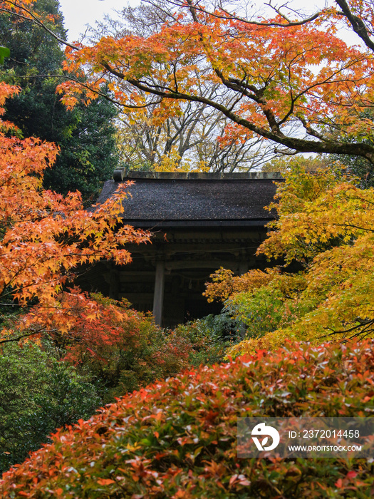 那谷寺と紅葉　Natadera and Autumn leaves　石川県小松市　Isikawa