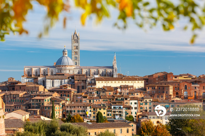 Beautiful view of Dome and campanile of Siena Cathedral, Duomo di Siena, and Old Town of medieval ci