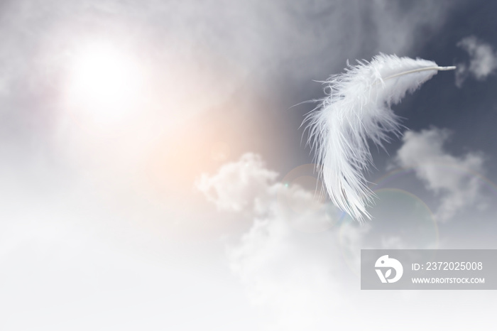 轻盈蓬松的白色羽毛漂浮在多云的天空中。