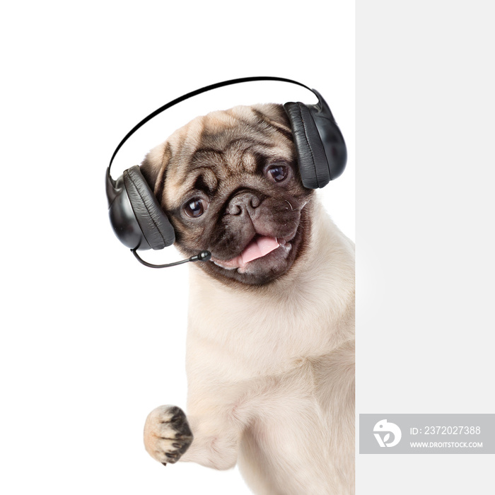 戴着耳机的狗在白色横幅后面偷看，竖起大拇指。在白色背景下隔离