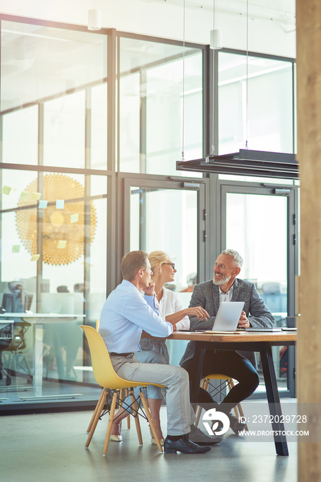 Vertical shot of three mature colleagues sitting in the modern office or coworking space, using lapt